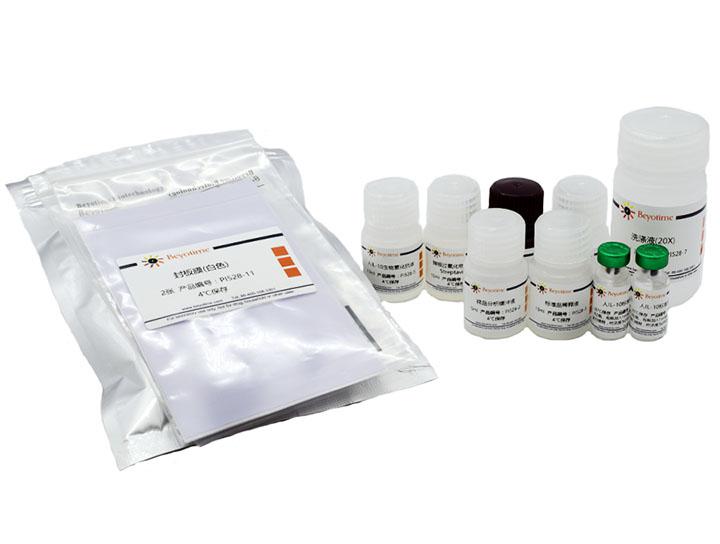 Human IL-10 ELISA Kit